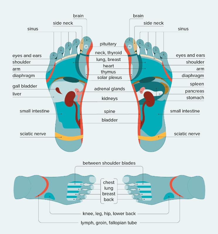 Foot reflexology is an ancient practice that releases endorphins, promotes healing, and connects to the whole body via meridians or energy pathways. 